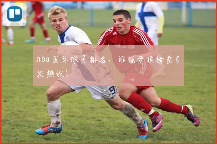 nba国际球员排名，谁能登顶榜首引发热议！